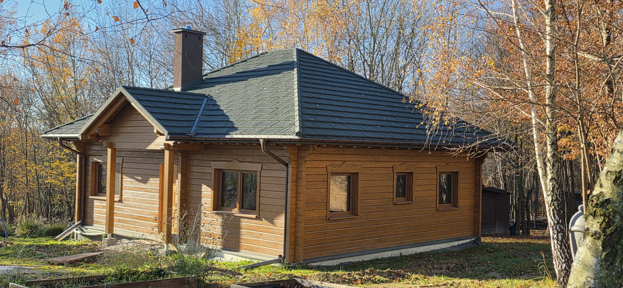 Projekt indywidualny